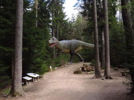 Gezin uit Hardenberg ontdekt dinosaurussen met boeken, fossielen en een leerzaam uitje