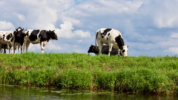 Centrum van Hardenberg met Markt en winkels, passend beeld bij hardenberg nieuws