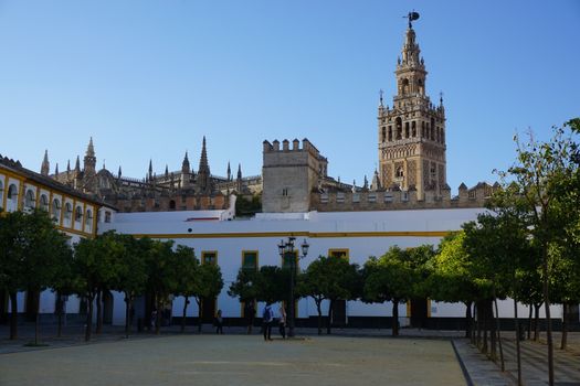 Spelers van Sevilla FC vieren een doelpunt tijdens een oefenwedstrijd in aanloop naar het nieuwe La Liga-seizoen