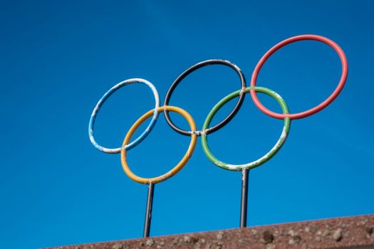 Joep Wennemars olympische spelen: schaatsfan in Hardenberg bekijkt een officiële update op telefoon