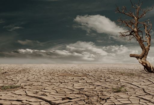 Klimaatbestendige tuin in Hardenberg met veel groen, regenton en waterdoorlatende bestrating