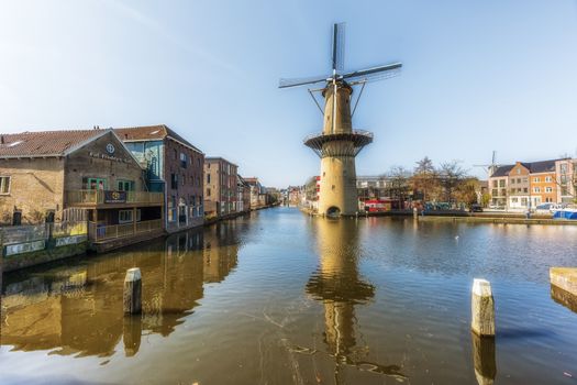 Lunchen Schiedam: de beste buurten en tips per type bezoeker